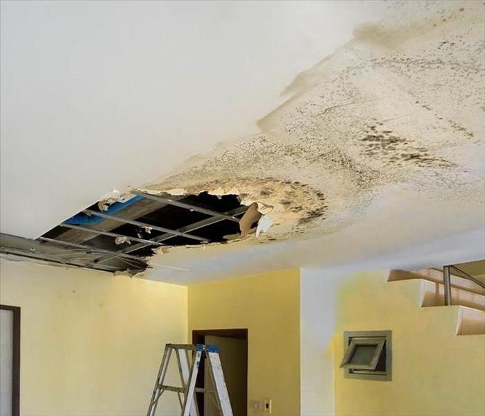Mold and water damage to ceiling.