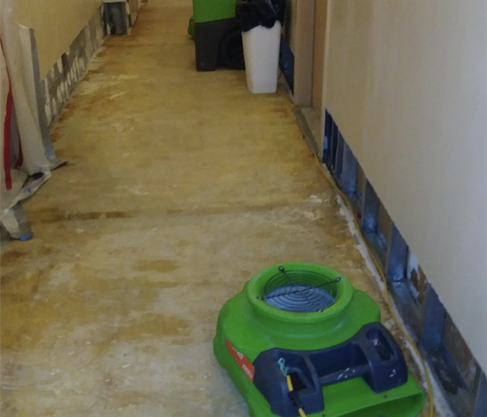 a hallway in a house with removed flooring and green drying equipment set up 