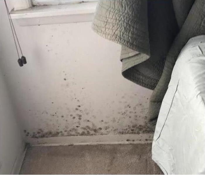 Mold growth on a wall behind a bed